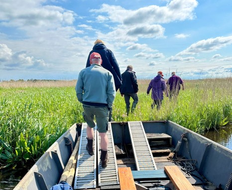 werken in Varkensland